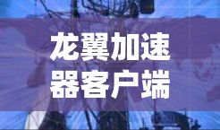 龙翼加速器客户端是用于加速手机网络的软件,支持3G和4G网络。以下是详细的步骤和注意事项