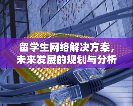 留学生网络解决方案，未来发展的规划与分析