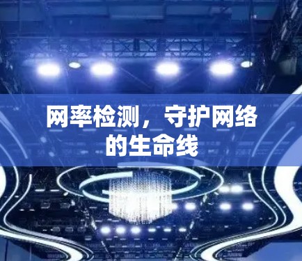 网率检测，守护网络的生命线